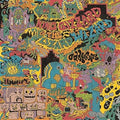 King Gizzard and the Lizard Wizard: Oddments - VINYL