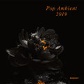 Various Artists: Pop Ambient 2019 (Various Artists) - Vinyl