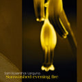 Sam Rosenthal: Sunwashed Evening Fire  ( CD )