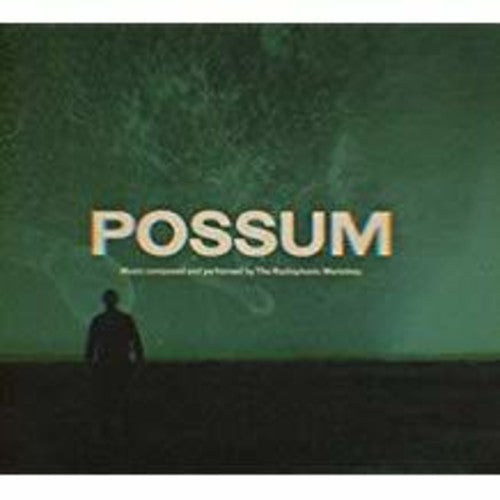 Radiophonic Workshop: Possum - CD