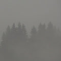 Max Loderbauer: Donnerwetter - Vinyl