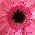 Boof: Rebirth of Gerberdaisy - Vinyl
