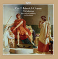 Barockwerk Hamburg  Hochman: Polydorus  ( CD )