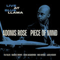 Various Artists: Piece of Mind - CD