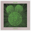 Anton Lanski: Faulty - Vinyl