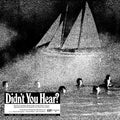Mort Garson: Didn't You Hear? - Vinyl