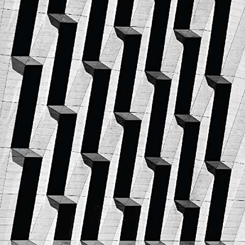 Snow Palms: Everything Ascending - Vinyl