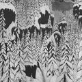 Paysage D'Hiver: Schattengang - CD