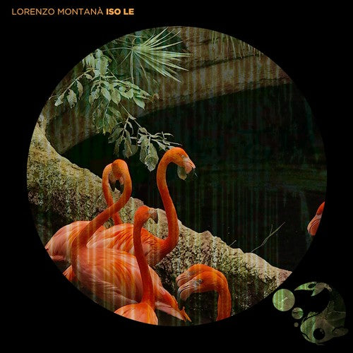 Lorenzo Montana: Iso Le  ( CD )