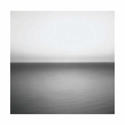 U2: No Line On The Horizon - VINYL