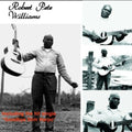 Robert Pete Williams: Robert Pete Williams  ( CD )