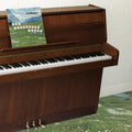 Grandaddy - The Sophtware Slump... On A Wooden Piano - Indie