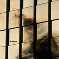 Dominic: Dominic - Vinyl