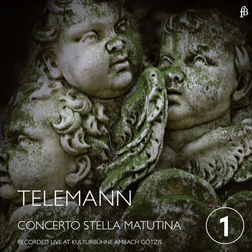 Telemann / Concerto Stella Matutina / Schurig: Konzerte  ( CD )
