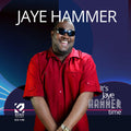 Jaye Hammer: It's Jaye Hammer Time  ( CD )