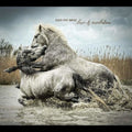 Over the Rhine: Love & Revelation - Vinyl