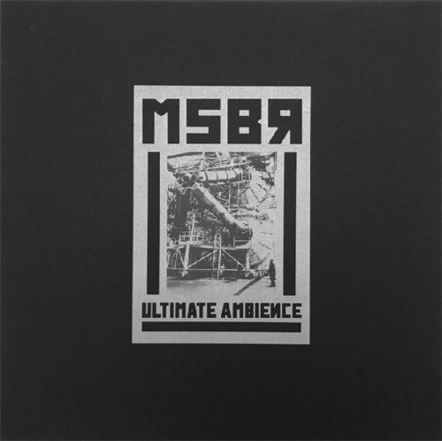 MSB?: Ultimate Ambience - Vinyl