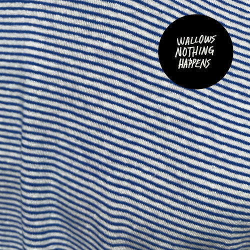 Wallows - Nothing Happens ( VINYL )