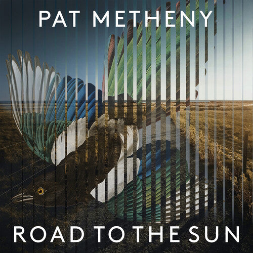 Pat Metheny - Road To The Sun ( VINYL )
