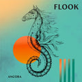 Flook: Ancora  ( CD )