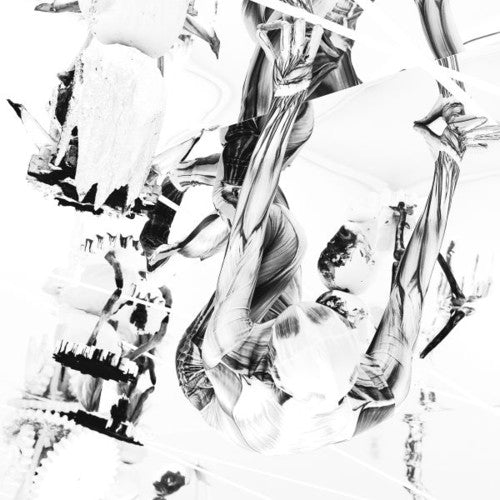 Belp: Crocodile - Vinyl