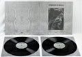 Paysage D'Hiver: Steineiche - VINYL