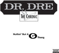 Dr Dre: Nuthin' But A G Thang - Vinyl