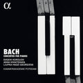 Bach, J.S. / Koroliov / Kammerakademie Potsdam: Concertos for Pianos  ( CD )