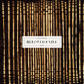 Steve Moore: Beloved Exile - Vinyl
