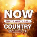 Various Artists: Now Country 12 / Various  ( CD )