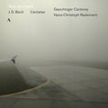 Bach, J.S. / Rademann: Stay Ye Angels  ( CD )