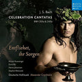 Bach / Grychtolik, Alexander: Bach: Celebration Cantatas-Blast Larme  ( CD )