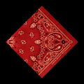 Aaron Watson: Red Bandana  ( CD )