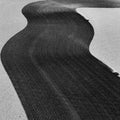 Rainer Veil: Vanity - Vinyl
