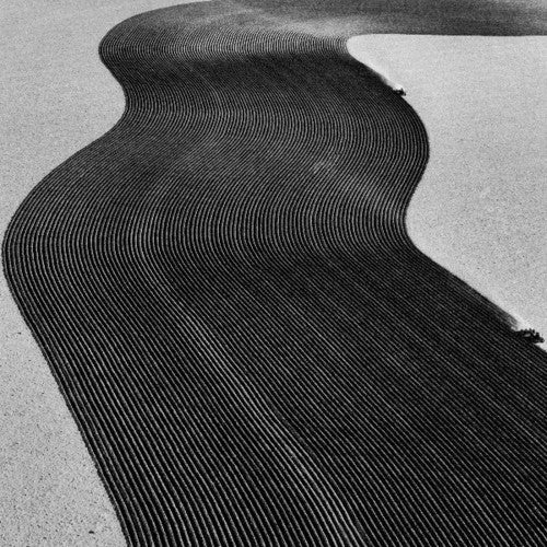 Rainer Veil: Vanity - Vinyl