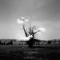 Kazuya Nagaya: Dream Interpretation (Remixes) - Vinyl