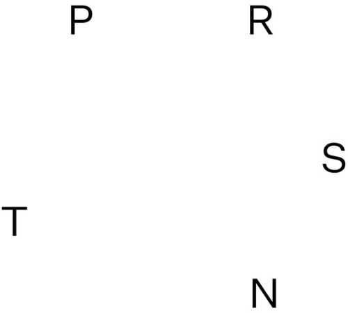 Various Artists: PRSNT / VARIOUS - Vinyl
