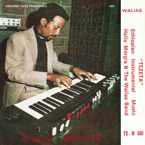Hailu Mergia & The Walias Band - Tezeta ( VINYL )