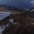 The Mountain Goats - The Mountain Goats - Indie LP