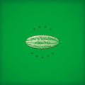 Spiritualized: Pure Phase - VINYL