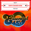 North Towards Home: Misty / For You (Digital 45) - CD