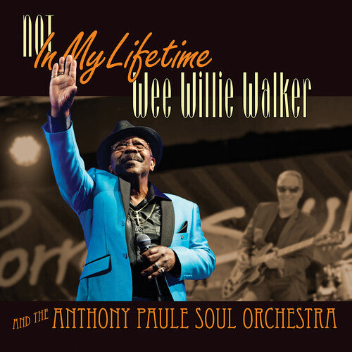Wee Willie Walker: Not In My Lifetime - VINYL