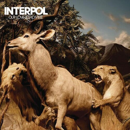 Interpol - Our Love To Admire ( VINYL )