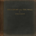 Joshua Radin: The Ghost And The Wall - VINYL