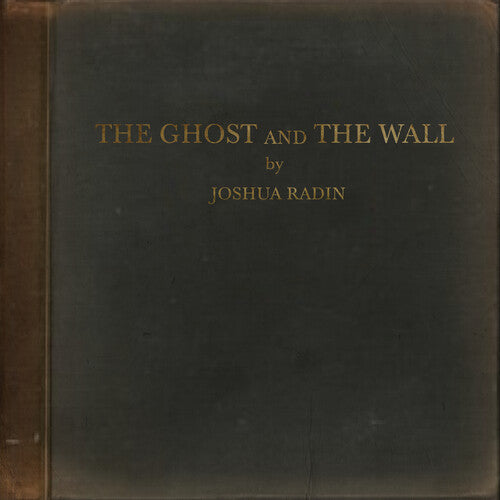 Joshua Radin: The Ghost And The Wall - VINYL