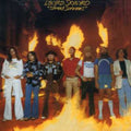 Lynyrd Skynyrd: Street Survivors - CD
