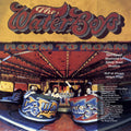 The Waterboys - Room To Roam ( VINYL )