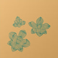 O-Wells: Subfriction - Vinyl
