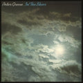 Peter Green: In The Skies - Vinyl