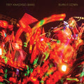 Trey Anastasio -  Burn It Down ( VINYL )